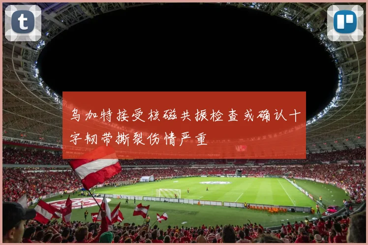 乌加特接受核磁共振检查或确认十字韧带撕裂伤情严重